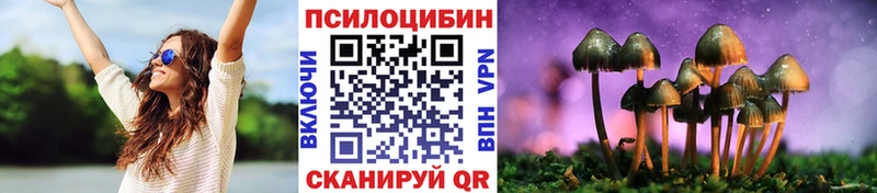 Псилоцибиновые грибы MAGIC MUSHROOMS  Купить где  Щёлкино 