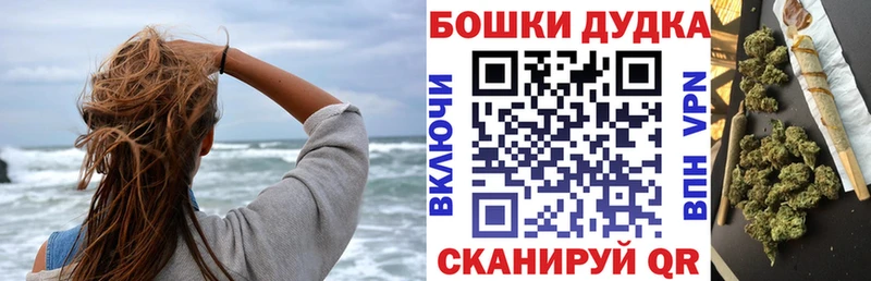 Купить закладки  Щёлкино  Шишки марихуана THC 21% 